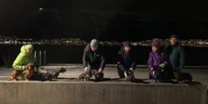 Lyst å være med på @tirsdachstur i Tromsø? Let oss opp på Facebook under Tirsdachstur så finner du mer informasjon der.